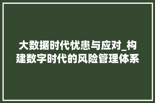 大数据时代忧患与应对_构建数字时代的风险管理体系 操作系统