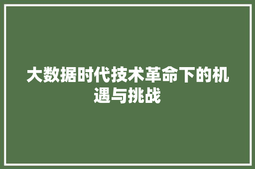 大数据时代技术革命下的机遇与挑战