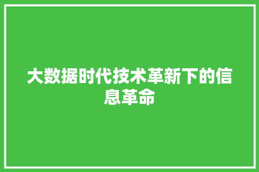 大数据时代技术革新下的信息革命