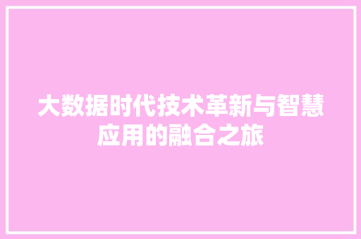 大数据时代技术革新与智慧应用的融合之旅 大数据时代技术革新与智慧应用的融合之旅