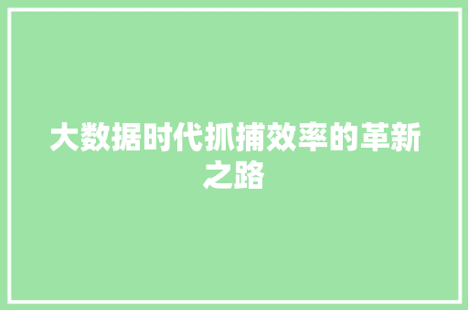 大数据时代抓捕效率的革新之路 大数据时代抓捕效率的革新之路