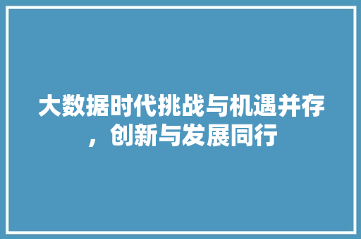 大数据时代挑战与机遇并存，创新与发展同行