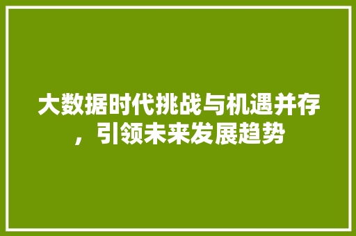 大数据时代挑战与机遇并存，引领未来发展趋势