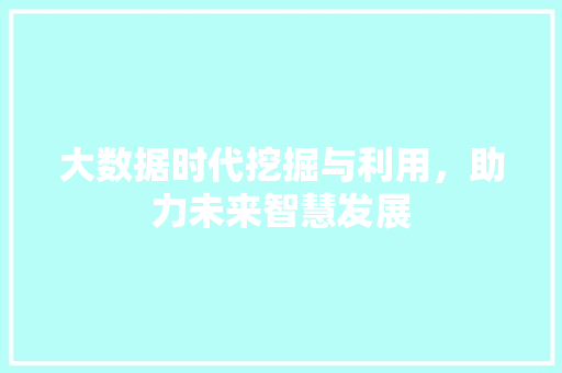 大数据时代挖掘与利用，助力未来智慧发展