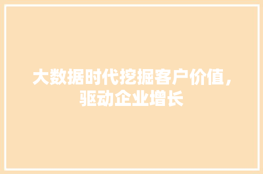 大数据时代挖掘客户价值，驱动企业增长