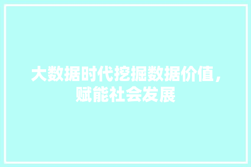 大数据时代挖掘数据价值，赋能社会发展