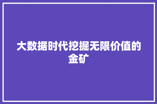 大数据时代挖掘无限价值的金矿