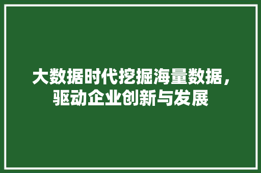 大数据时代挖掘海量数据，驱动企业创新与发展