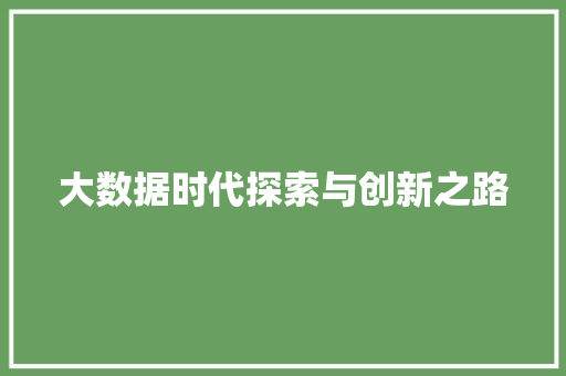 大数据时代探索与创新之路