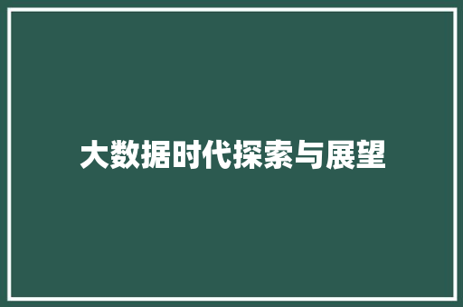 大数据时代探索与展望