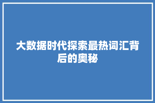 大数据时代探索最热词汇背后的奥秘
