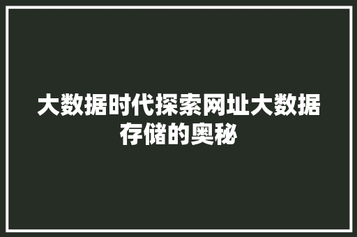 大数据时代探索网址大数据存储的奥秘