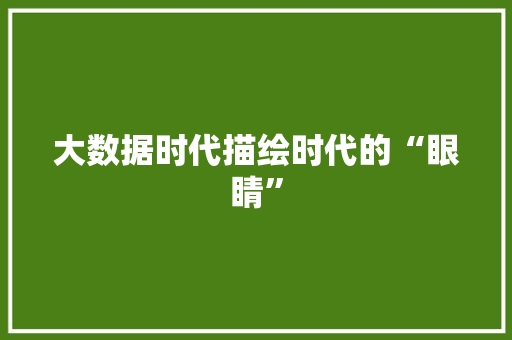 大数据时代描绘时代的“眼睛”