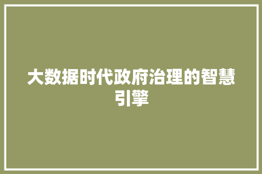 大数据时代政府治理的智慧引擎