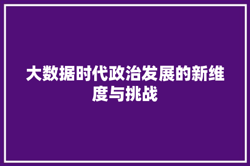 大数据时代政治发展的新维度与挑战