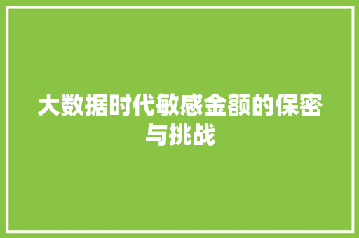 大数据时代敏感金额的保密与挑战
