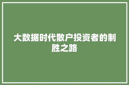 大数据时代散户投资者的制胜之路
