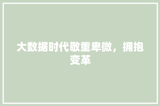 大数据时代敬重卑微，拥抱变革