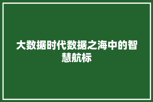 大数据时代数据之海中的智慧航标