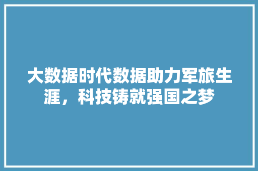 大数据时代数据助力军旅生涯，科技铸就强国之梦