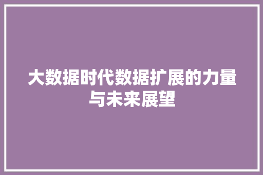 大数据时代数据扩展的力量与未来展望