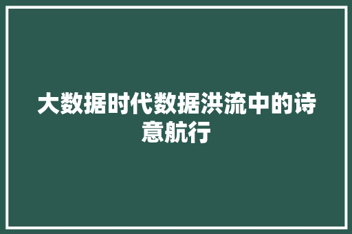 大数据时代数据洪流中的诗意航行 大数据时代数据洪流中的诗意航行