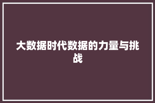大数据时代数据的力量与挑战 大数据时代数据的力量与挑战
