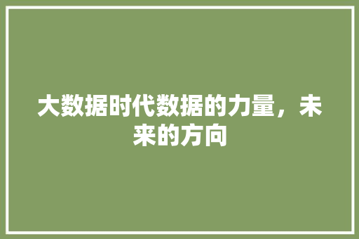 大数据时代数据的力量,未来的方向 大数据时代数据的力量,未来的方向