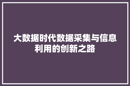 大数据时代数据采集与信息利用的创新之路 大数据时代数据采集与信息利用的创新之路
