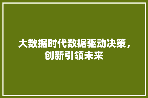 大数据时代数据驱动决策，创新引领未来