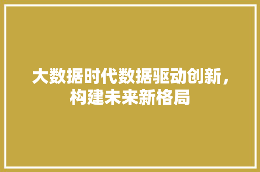 大数据时代数据驱动创新，构建未来新格局