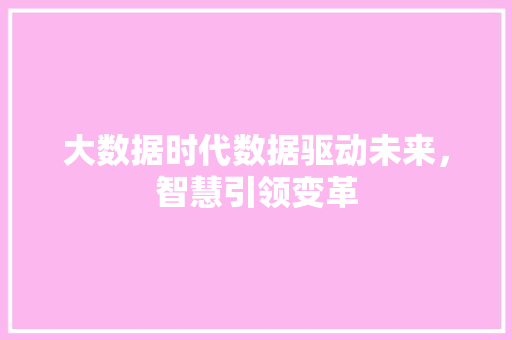 大数据时代数据驱动未来，智慧引领变革