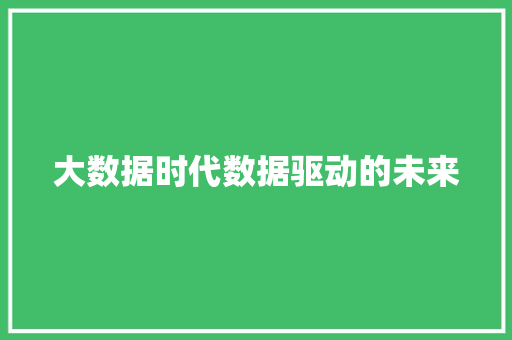 大数据时代数据驱动的未来