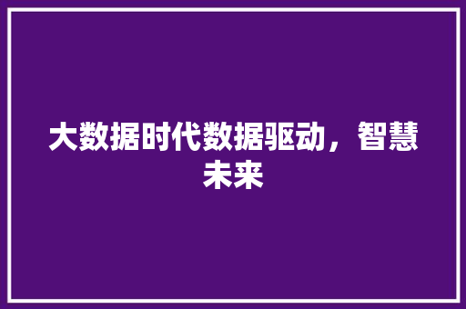 大数据时代数据驱动，智慧未来