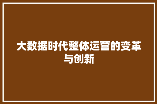 大数据时代整体运营的变革与创新 操作系统