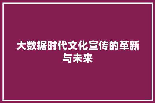 大数据时代文化宣传的革新与未来