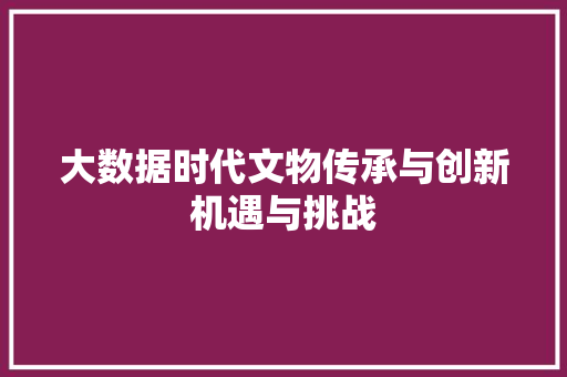大数据时代文物传承与创新机遇与挑战 编程语言