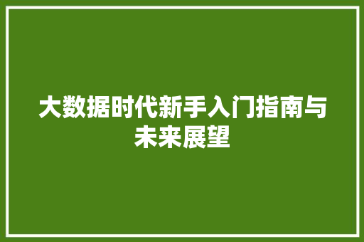 大数据时代新手入门指南与未来展望 大数据时代新手入门指南与未来展望