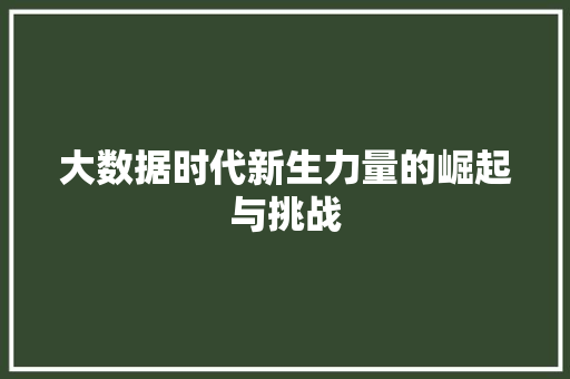 大数据时代新生力量的崛起与挑战 大数据时代新生力量的崛起与挑战