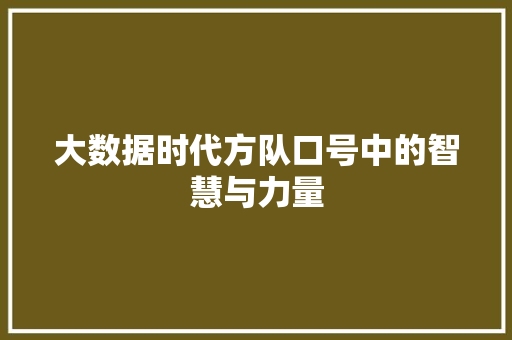 大数据时代方队口号中的智慧与力量