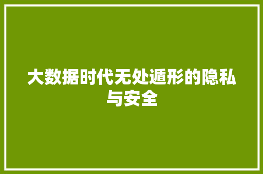 大数据时代无处遁形的隐私与安全 大数据时代无处遁形的隐私与安全