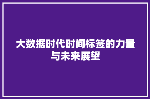 大数据时代时间标签的力量与未来展望