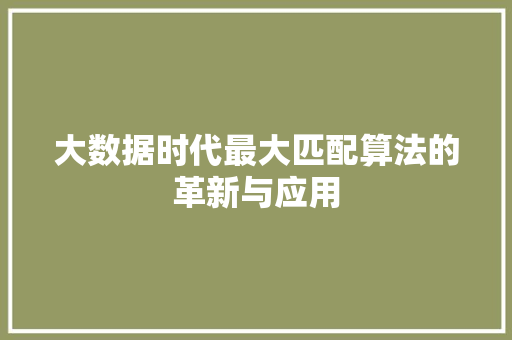 大数据时代最大匹配算法的革新与应用 大数据时代最大匹配算法的革新与应用