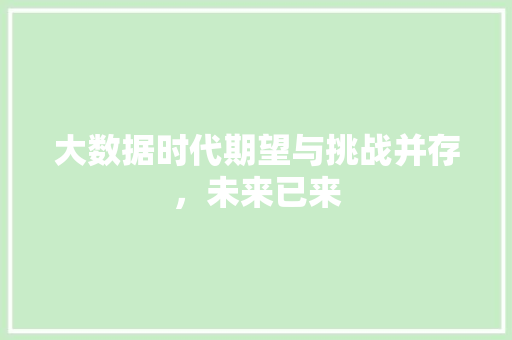 大数据时代期望与挑战并存,未来已来 大数据时代期望与挑战并存,未来已来