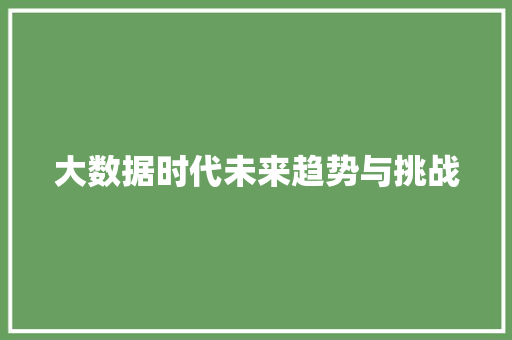 大数据时代未来趋势与挑战