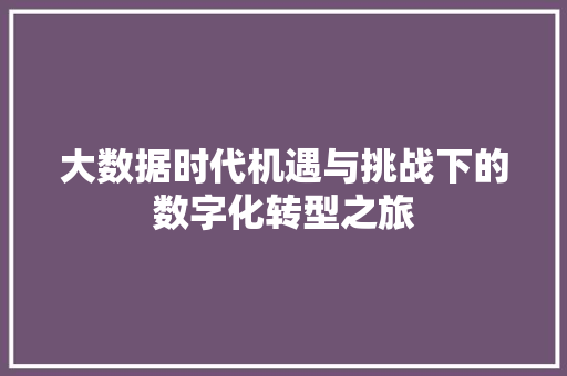 大数据时代机遇与挑战下的数字化转型之旅