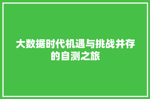 大数据时代机遇与挑战并存的自测之旅