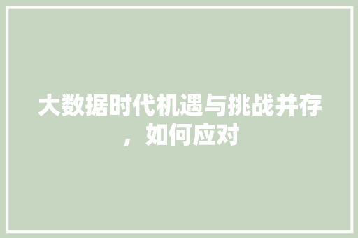 大数据时代机遇与挑战并存，如何应对