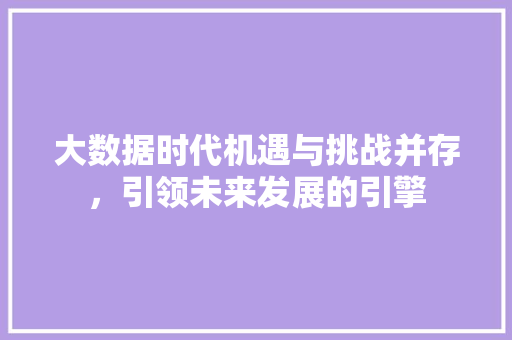 大数据时代机遇与挑战并存，引领未来发展的引擎