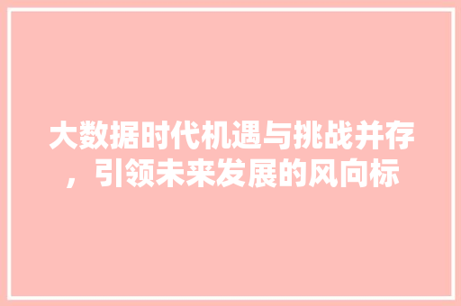 大数据时代机遇与挑战并存，引领未来发展的风向标